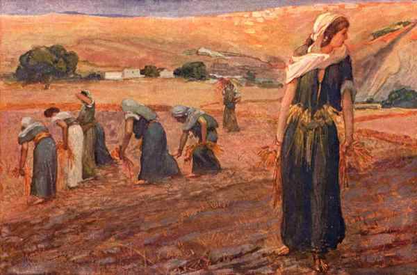 Gleaning in the Book of Ruth